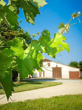 Domaine Grand Comté